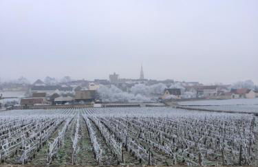 Au 8 à Meursault, Magnifique maison Bourguignonne au pied des vignes, jardin, places de parking privée - Foto 40