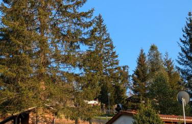 Ferienhaus Goldisthal - Photo 31