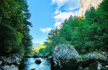 La joue du loup, aux pieds des pistes et vue sur montagnes - Photo 28