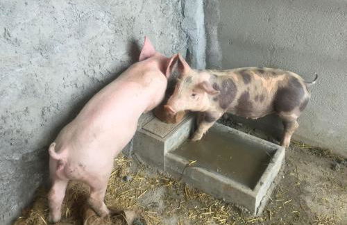 farmhouse in Sierra de los Filabres for 6 ppl - Foto 11