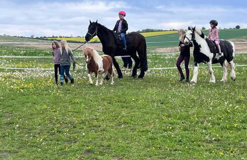 Landkulturhof Glücksbringer - Foto 9