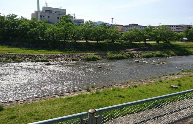 Green House - Foto 18