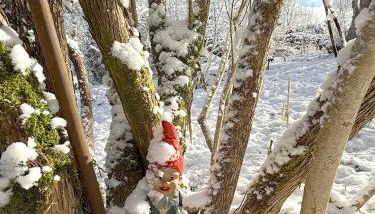 Chalet les airelles -chalet cosy près de colmar dans les vosges - Foto 2