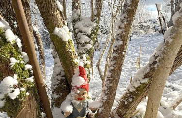 Chalet les airelles -chalet cosy près de colmar dans les vosges - Foto 2