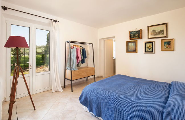 Artemisia negli ulivi B&B - Photo 8