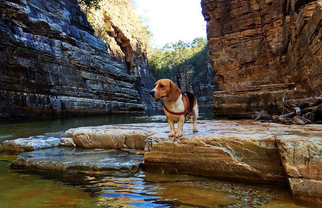 Recanto Vita et Pax - Foto 51