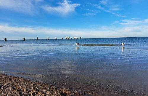 Fewo Kerzenzimmer - Märchen aus Wachs und Flamme - Foto 22