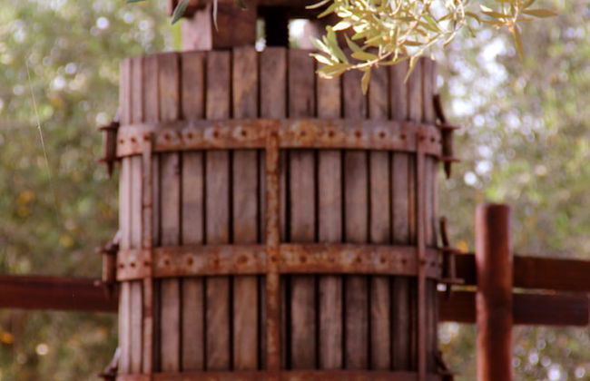 Agriturismo La Piana - Foto 55