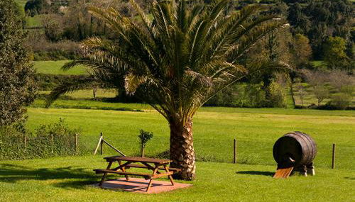 Apartamentos Vega Rodiles el balcón - Foto 3