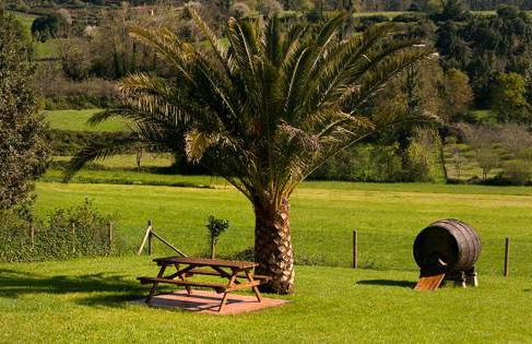 Apartamentos Vega Rodiles el campu - Foto 2