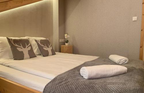 Apartamenty pod Góralskim Niebem - Photo 41