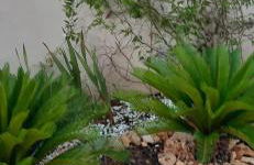 Ca Na Xisca - Foto 32