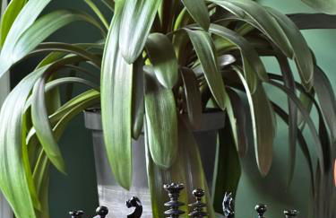 Spean Lodge - Foto 54