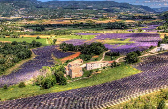 Luberon Lavender Fields - Foto 2