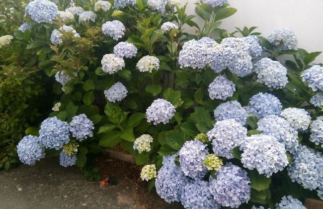 Apartment With 2 Bedrooms in Urqueira, With Wonderful Mountain View, Pool Access, Enclosed Garden - Foto 21