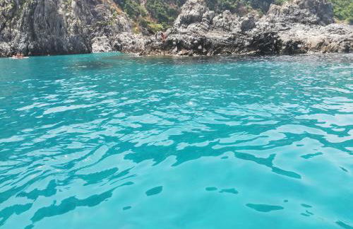 L' Agrumeto - Photo 54