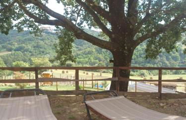 Agriturismo Cisogna - Foto 37