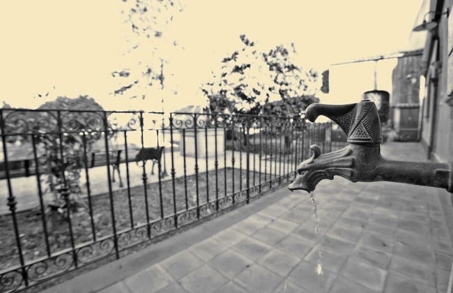 The Garden in the City Center - Foto 24