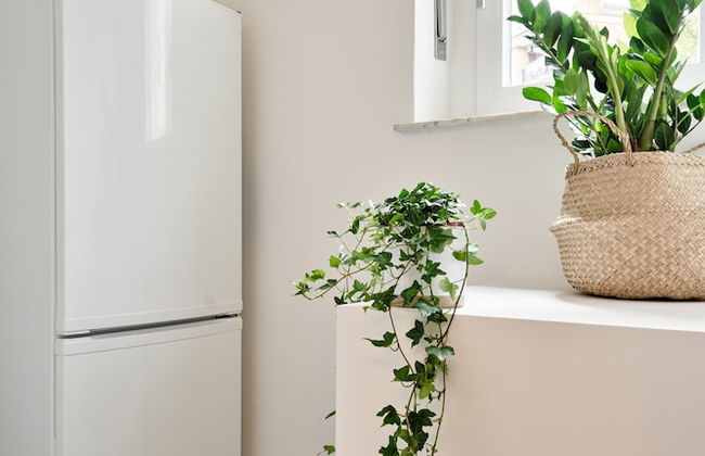 Urban House Carducci - Studios - Photo 20