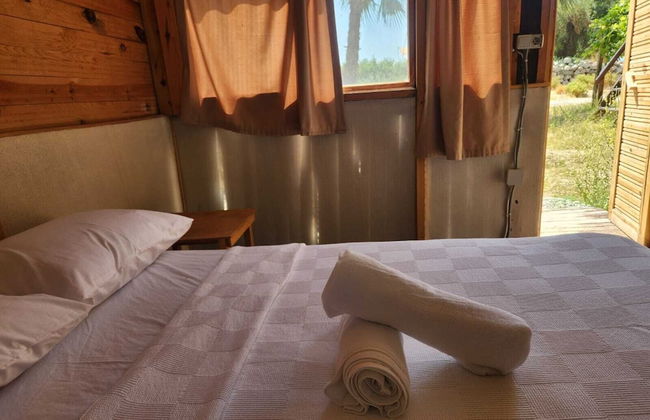 Kelebekler Vadisi Butterfly Valley - Foto 57