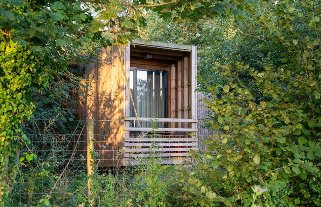 Treetop Tranquility Stay - Photo 29