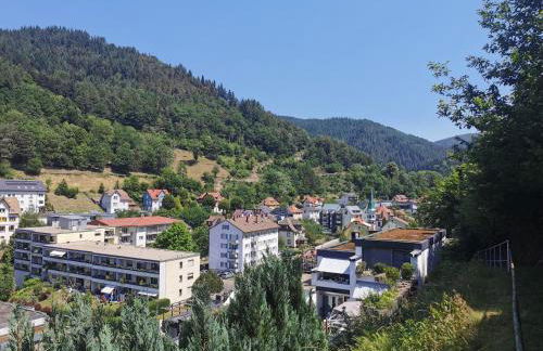 Terrassenwohnung mit toller Aussicht & zentrumsnah - Foto 21