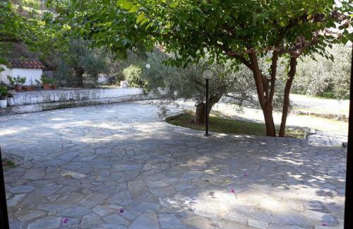 Σπίτι σε ελαιώνα, house in an olive grove - Foto 31