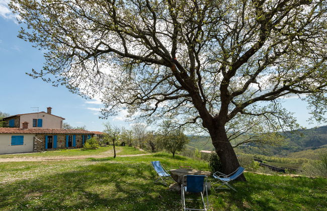 Podere Casidote - Foto 37