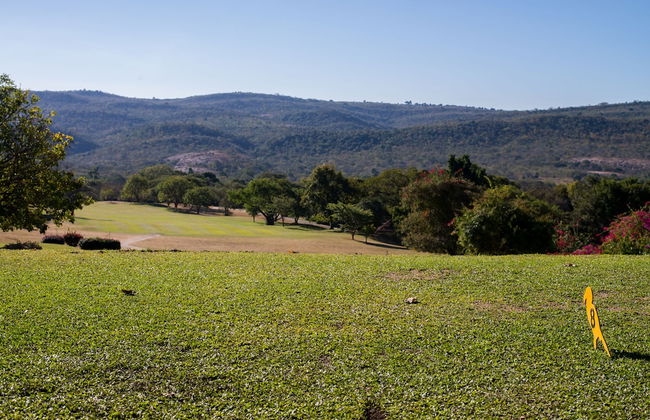 Kruger Park Lodge Unit No. 265 - Photo 47