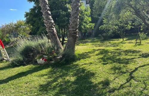 Gradevole studio in corte - Foto 14