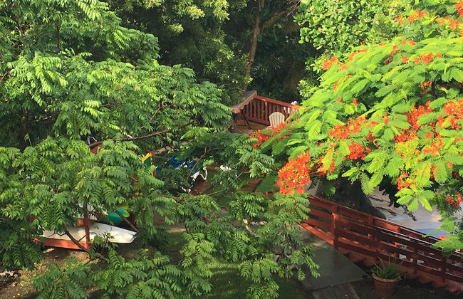 Sea Glass Place - Foto 79