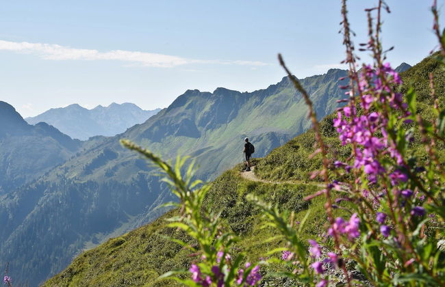 Historic Farmhouse: 200 Years old Meets new - Foto 37