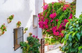 Vejer de la Frontera - La Sacristía - Foto 19
