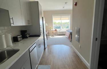 410 Modern Brand New Studio Apartment - Foto 6
