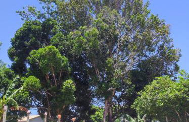 Casa Quaresmeiras - Foto 1