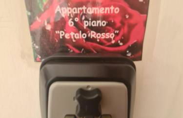 Petalo rosso - Photo 33