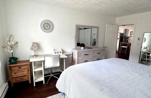 NEW - Mins to Hospitals - Manchester - Derry - Nashua - Concord - Queen Bed - Foto 26