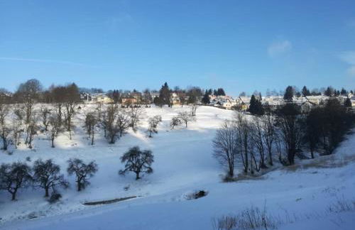 Ruhiges Ferienhaus mit viel Platz und Ladestation für E-Auto - Foto 18