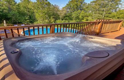 Bear Splashin Fun - Photo 3