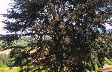 Bungalow am Werratal Radwanderweg - Foto 3