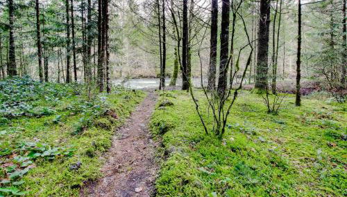 Zoe's Log Cabin - Foto 5