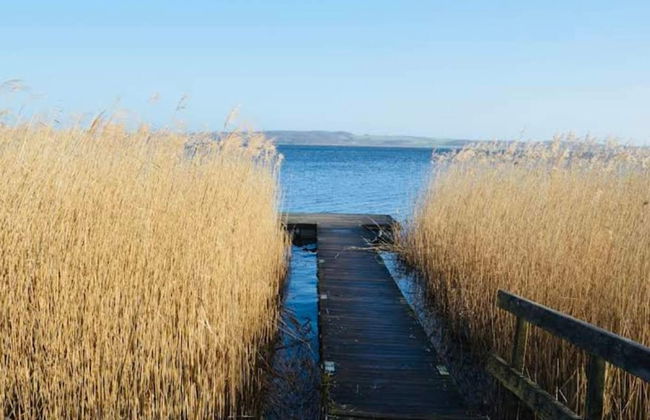 8 Person Holiday Home in Store Fuglede - Foto 31