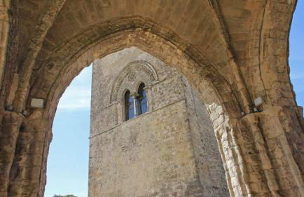 Stranizza D'amari - Foto 23