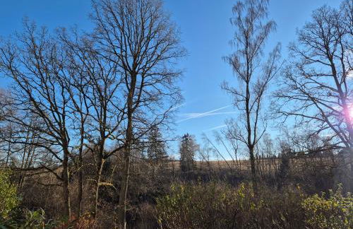 NaturBlick am Rothaarsteig neue moderne Ferienwohnung mit 2 Badezimmern 2 Küchen inklusive Highspeed Internet Flatrate 2x XXL Boxspringbett 2x Terrassen und 2x PKW Parkplätze 10 Minuten bis Willingen Ideal für Touristen und Geschäftsleute mit MWStRechnung - Foto 28