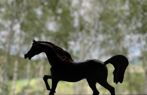 Drewniany dom w brzozowisku - Foto 46