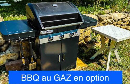 Appart independent garden Pool & Spa - Foto 12