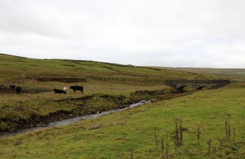 Prospect House - Photo 42