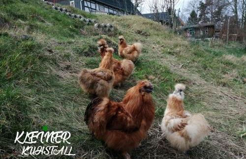 Ferienwohnungen Kleiner Kuhstall - Photo 8