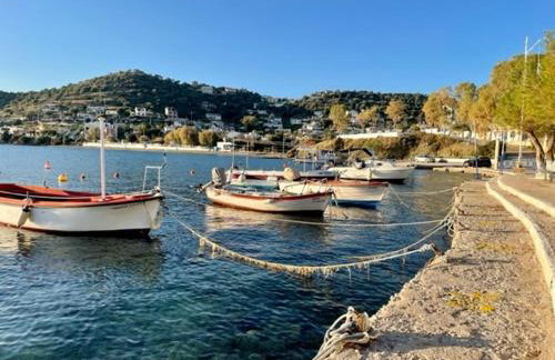 Socratous House - Foto 31