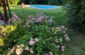 Casa Laura - Photo 16